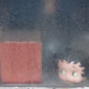 Meet your Posher, Diana